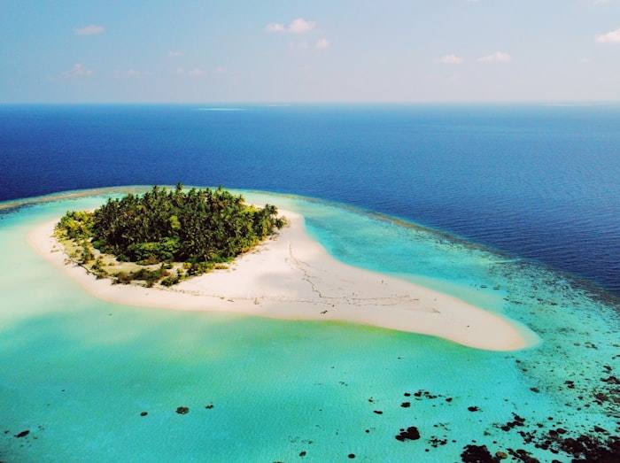 A sandbank at low tide