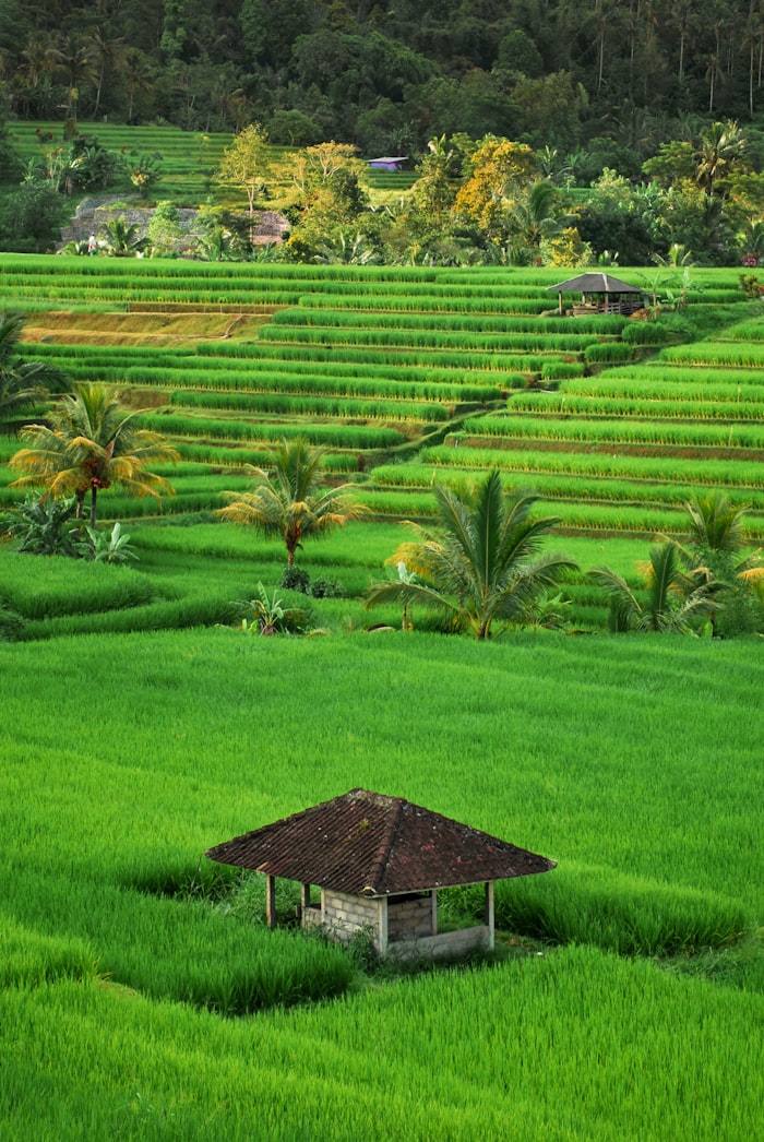 Green, all the way down